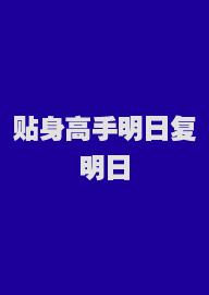 贴身高手明日复明日