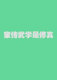 家传武学是修真