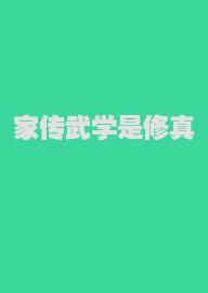 家传武学是修真