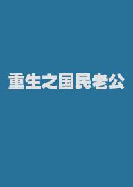 重生之国民老公