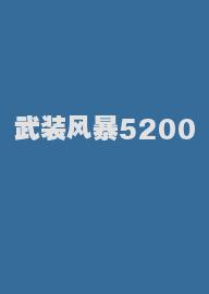 武装风暴5200