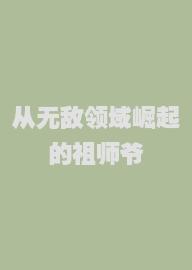 从无敌领域崛起的祖师爷