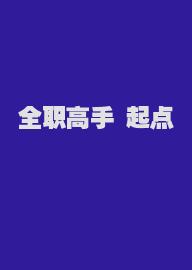 全职高手 起点