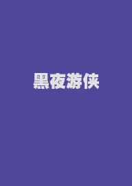 黑夜游侠