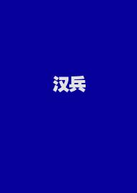 汉兵